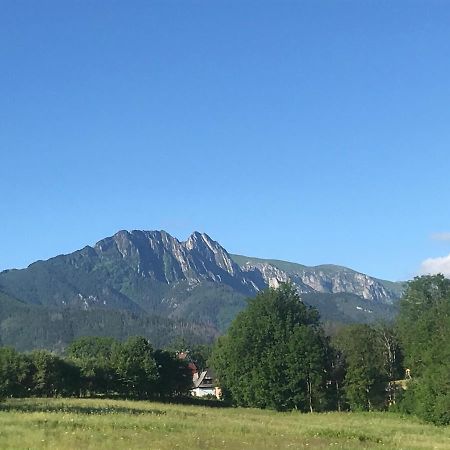 Camping Zakopane Willa Skoczek Oferta Nie Dotyczy Noclegu W Pokoju ,W Namiocie Reczniki Woda Mineralna , Koldra Poduszki Lub Spiwory Exteriör bild