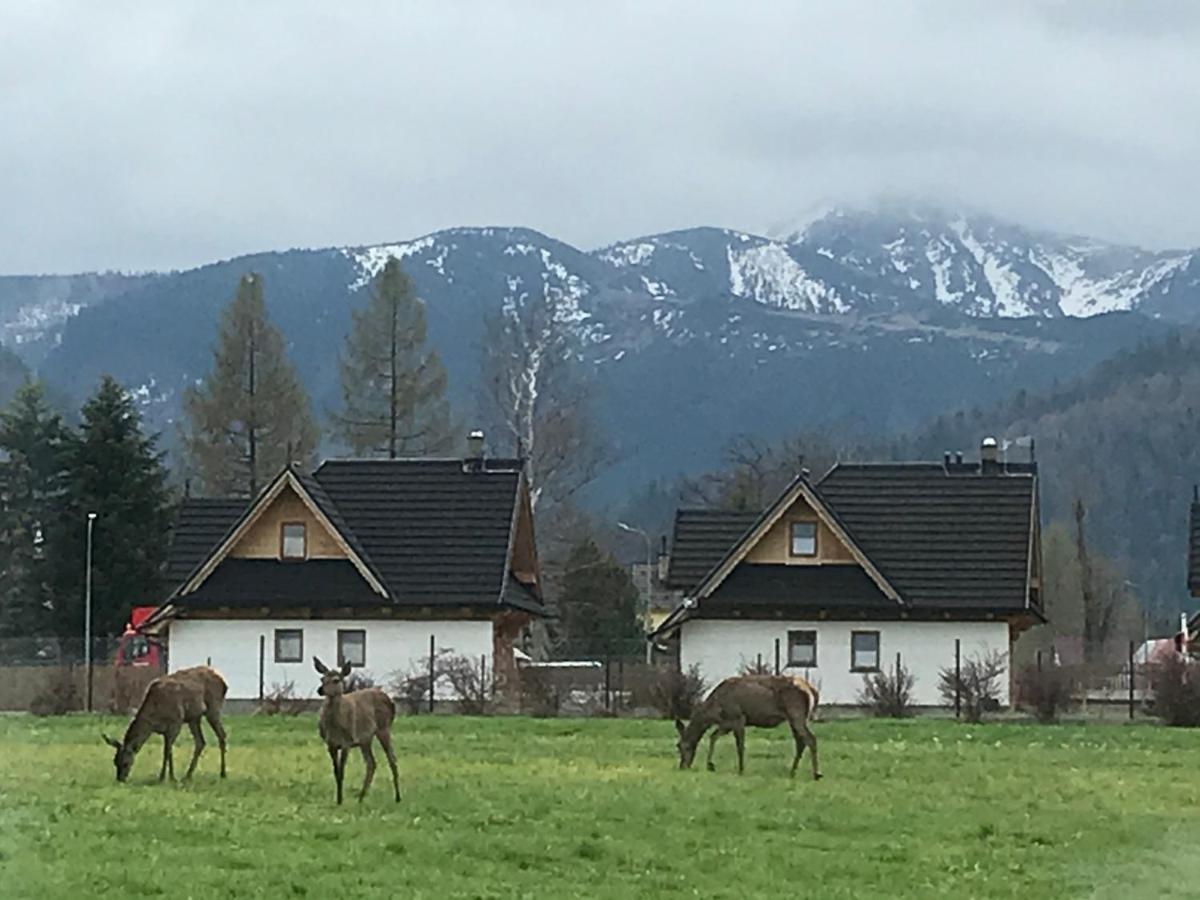 Camping Zakopane Willa Skoczek Oferta Nie Dotyczy Noclegu W Pokoju ,W Namiocie Reczniki Woda Mineralna , Koldra Poduszki Lub Spiwory Exteriör bild