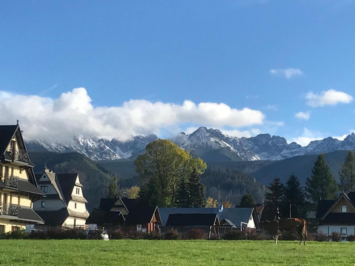 Camping Zakopane Willa Skoczek Oferta Nie Dotyczy Noclegu W Pokoju ,W Namiocie Reczniki Woda Mineralna , Koldra Poduszki Lub Spiwory Exteriör bild
