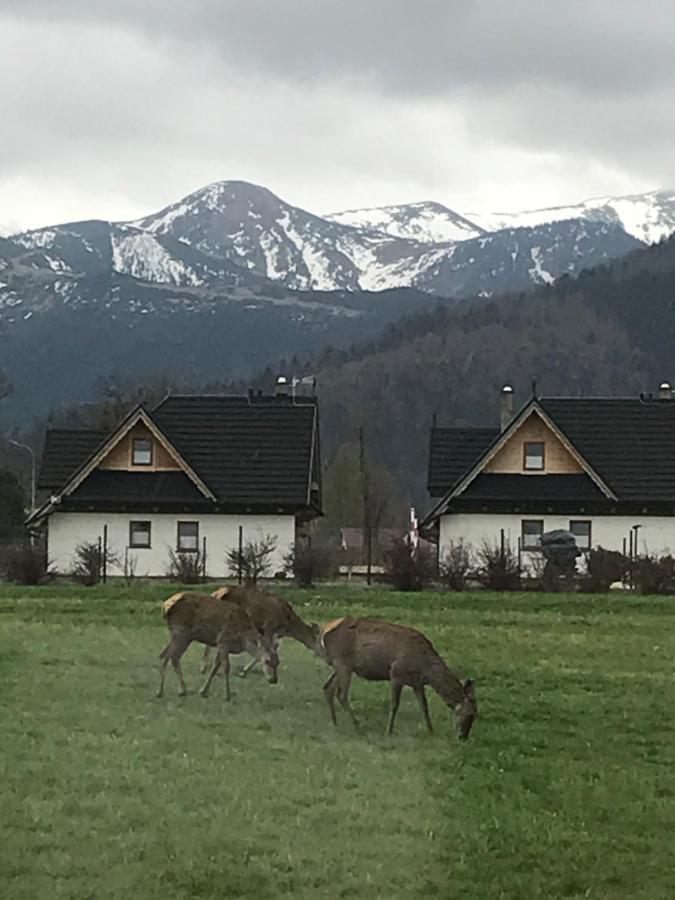 Camping Zakopane Willa Skoczek Oferta Nie Dotyczy Noclegu W Pokoju ,W Namiocie Reczniki Woda Mineralna , Koldra Poduszki Lub Spiwory Exteriör bild