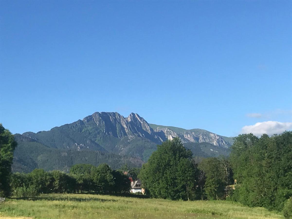 Camping Zakopane Willa Skoczek Oferta Nie Dotyczy Noclegu W Pokoju ,W Namiocie Reczniki Woda Mineralna , Koldra Poduszki Lub Spiwory Exteriör bild