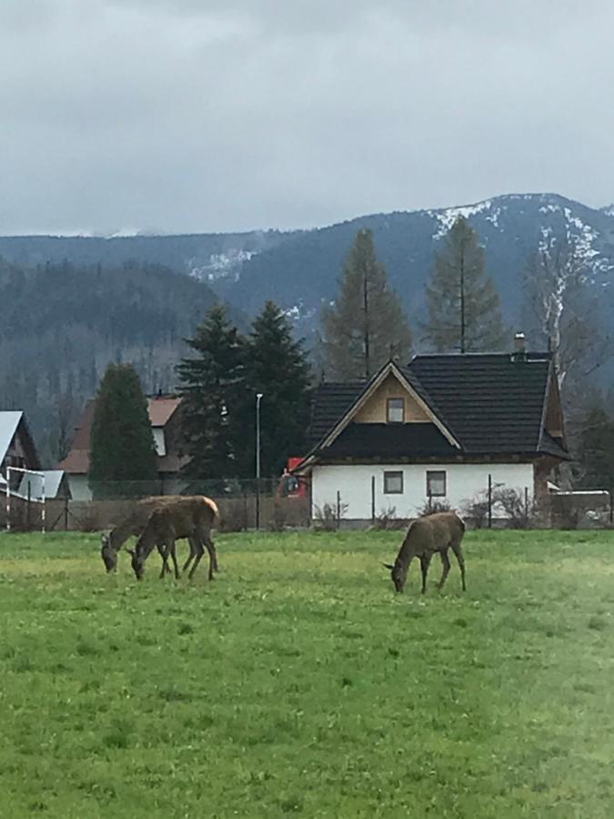 Camping Zakopane Willa Skoczek Oferta Nie Dotyczy Noclegu W Pokoju ,W Namiocie Reczniki Woda Mineralna , Koldra Poduszki Lub Spiwory Exteriör bild