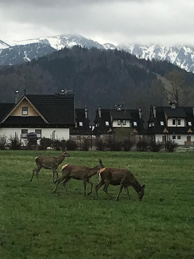 Camping Zakopane Willa Skoczek Oferta Nie Dotyczy Noclegu W Pokoju ,W Namiocie Reczniki Woda Mineralna , Koldra Poduszki Lub Spiwory Exteriör bild