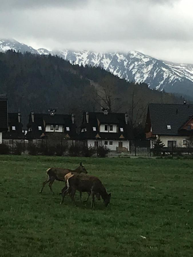 Camping Zakopane Willa Skoczek Oferta Nie Dotyczy Noclegu W Pokoju ,W Namiocie Reczniki Woda Mineralna , Koldra Poduszki Lub Spiwory Exteriör bild